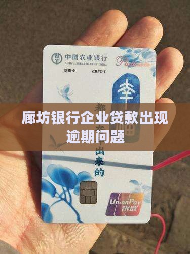 廊坊银行企业贷款逾期