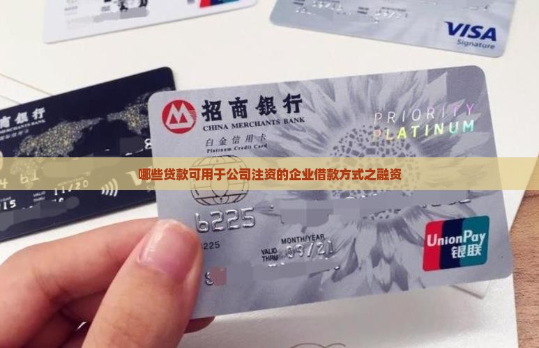 哪些贷款可用于公司注资