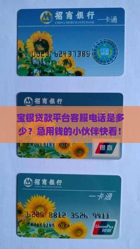 宝银贷款平台客服电话