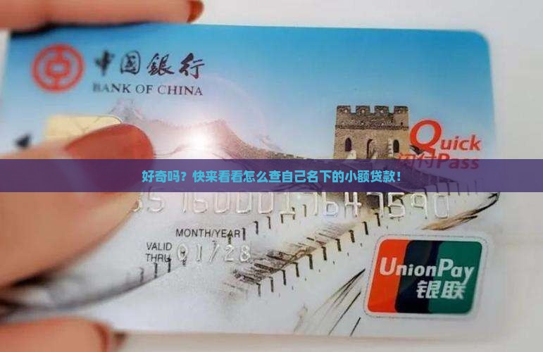 如何查名下小额贷款