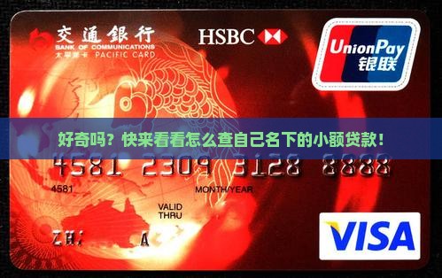 如何查名下小额贷款