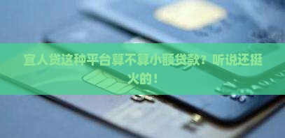 宜人贷算是小额贷款吗