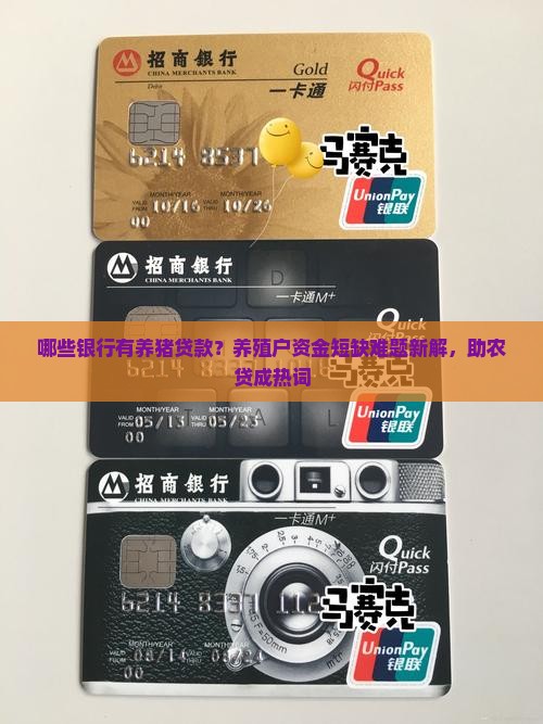 哪些银行有养猪贷款