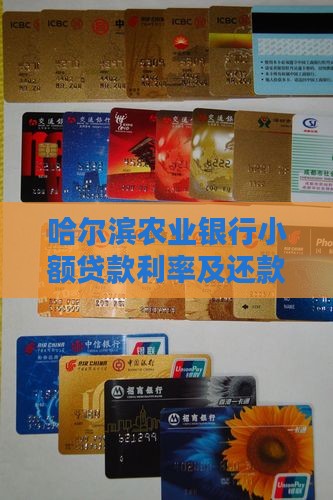 哈尔滨农业银行小额贷款