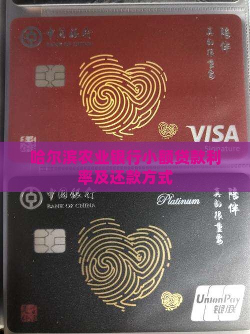 哈尔滨农业银行小额贷款