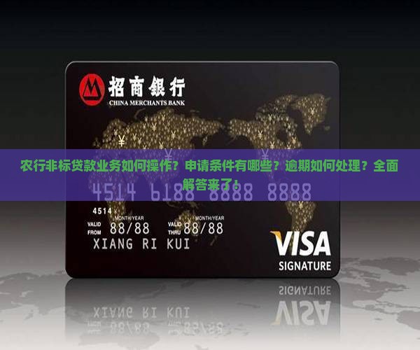 农行银行贷款非标