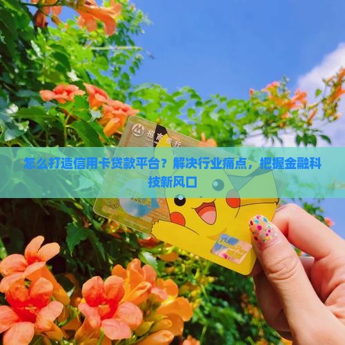 怎么打造信用卡贷款平台