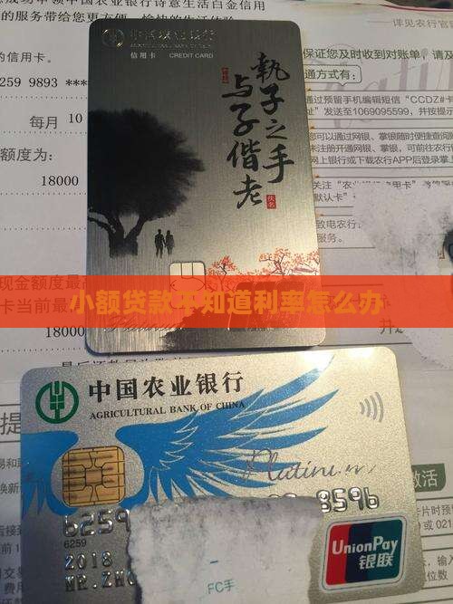 小额贷款不知道利率
