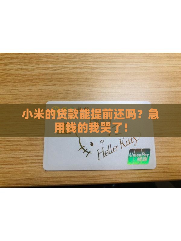 小米的贷款可以提前还吗