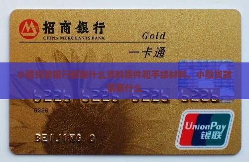 小额贷款银行都要什么