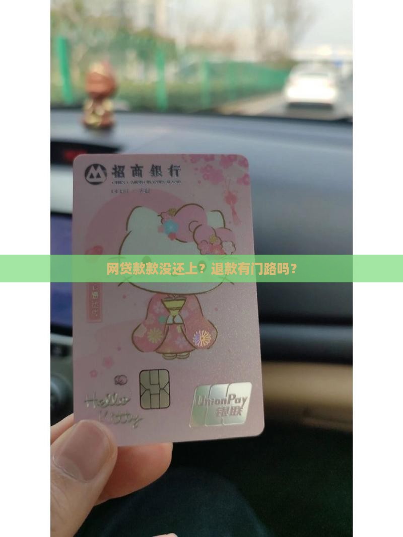 在网上贷款怎么退款
