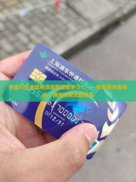 各银行企业信用贷款额度