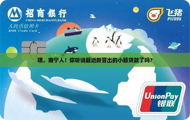 南宁市新发现小额贷款