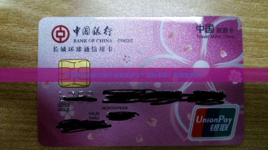 广西扶贫小额贷款补偿金