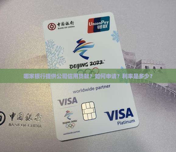 哪个银行有公司信用贷款