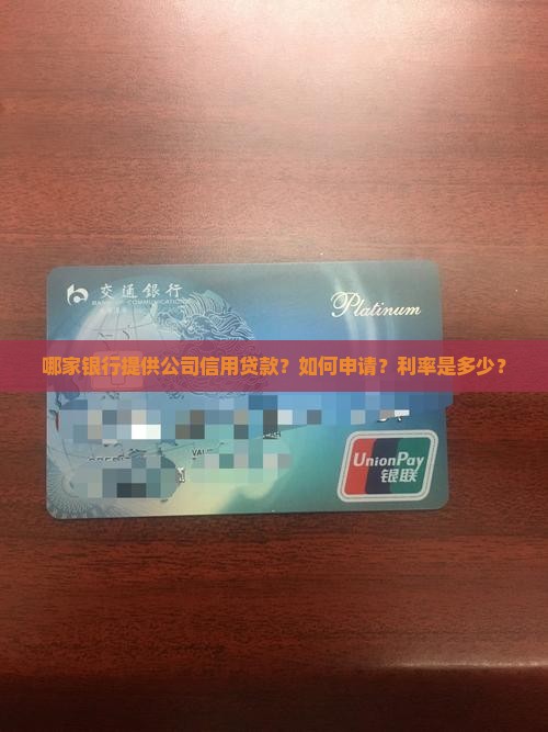 哪个银行有公司信用贷款