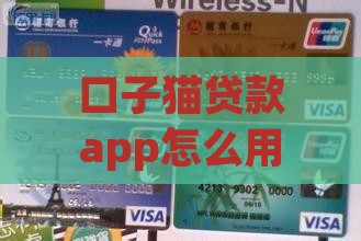 口子猫贷款app怎么用 口子猫贷款app怎么用