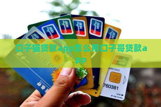 口子猫贷款app怎么用 口子猫贷款app怎么用