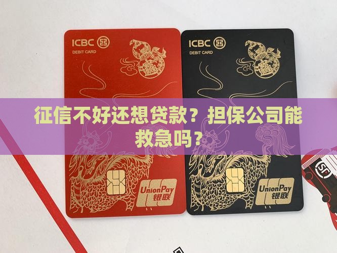 征信很差找担保公司贷款