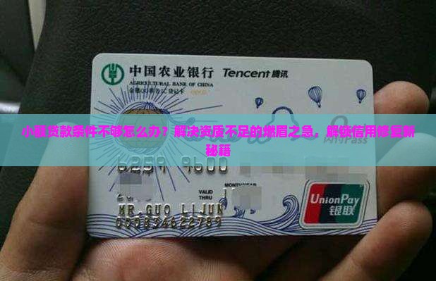 小额贷款条件不够怎么办