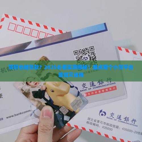哪个小贷用驾照可以贷款