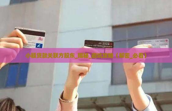 小额贷款关联方股东