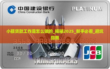 小额贷款工作是怎么做的