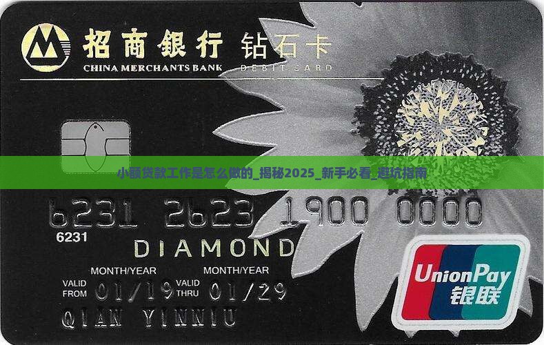小额贷款工作是怎么做的
