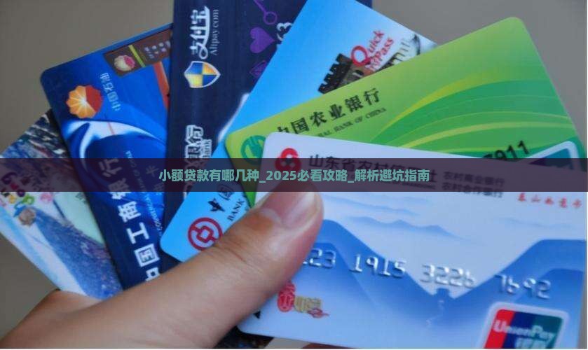 小额贷款有哪几种