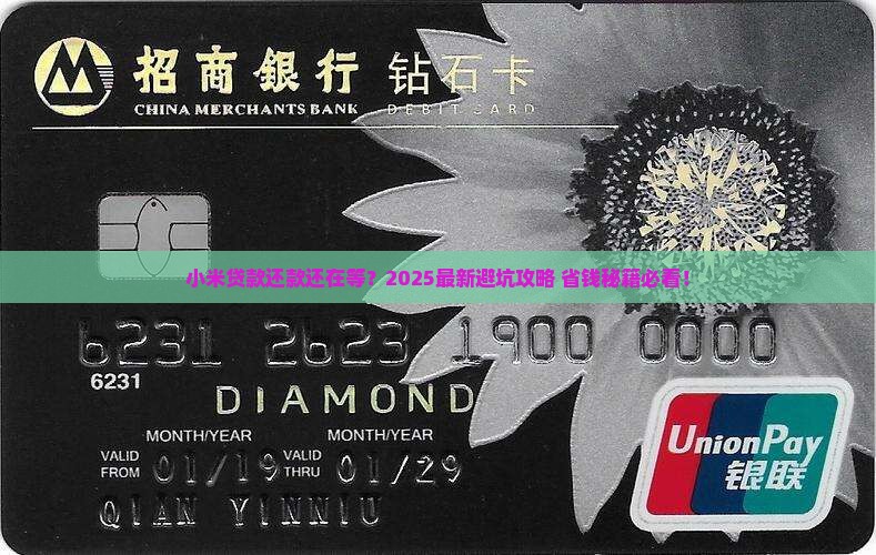 小米贷款还款等待中