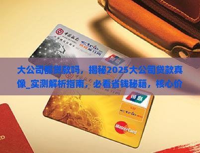 大公司都贷款吗
