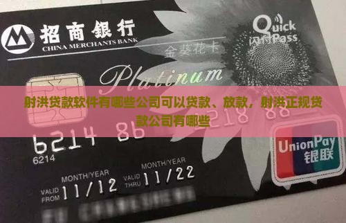 射洪贷款软件有哪些公司