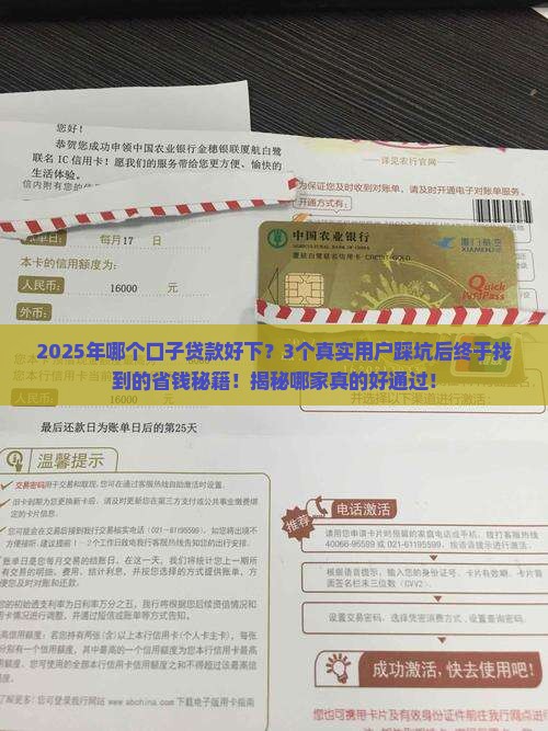 哪个口子贷款好下