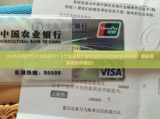 哪个口子贷款好下