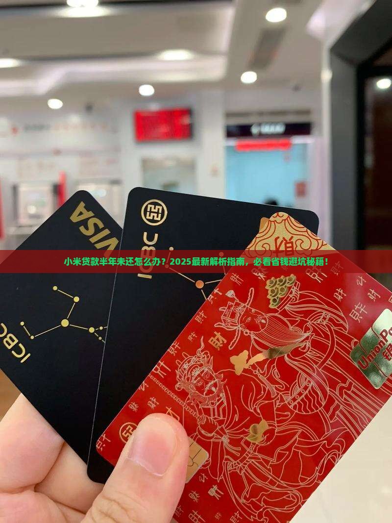 小米贷款半年未还