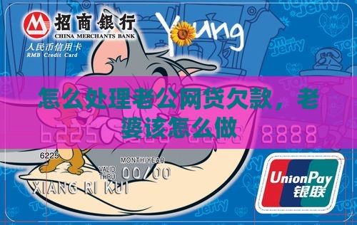 女人帮老公贷款还网贷怎么办