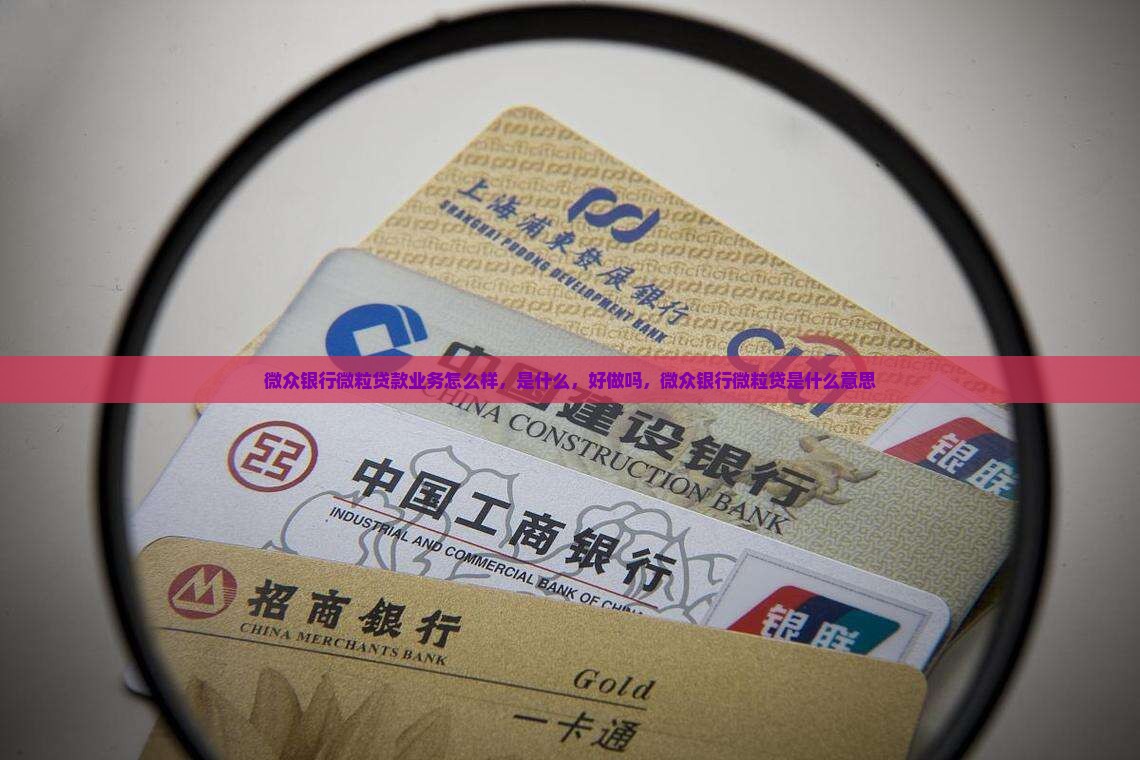 微众银行微粒贷款业务