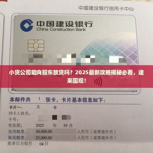 小贷公司可否向股东贷款