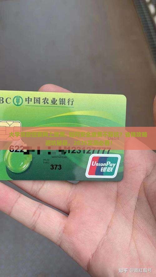 大学贷款但要网上缴费