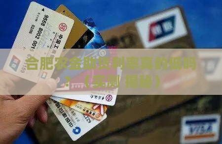 合肥农金助贷贷款利率