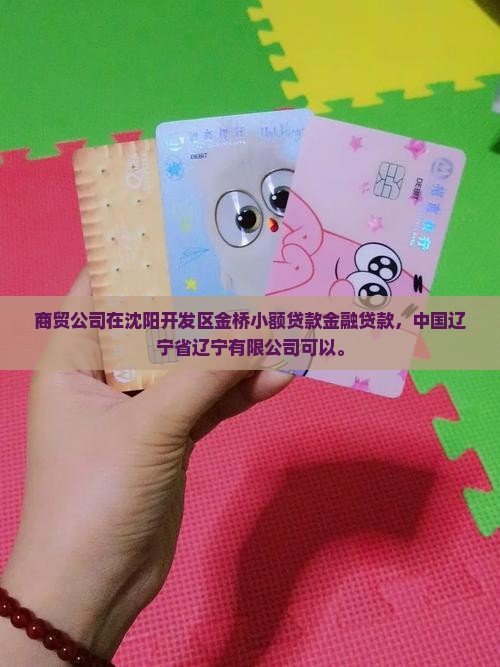 商贸公司能做金融贷款吗