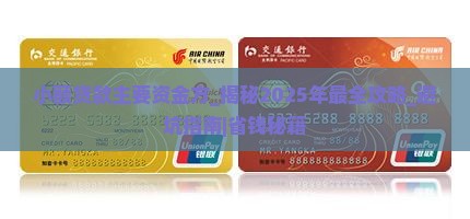 小额贷款主要资金方