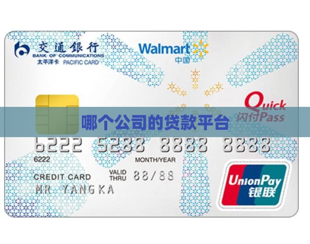 哪个公司的贷款平台