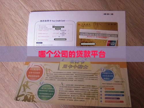 哪个公司的贷款平台