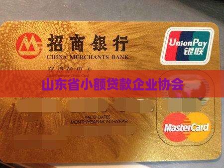 山东省小额贷款企业协会