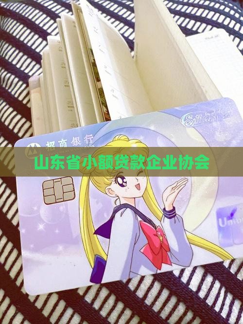 山东省小额贷款企业协会
