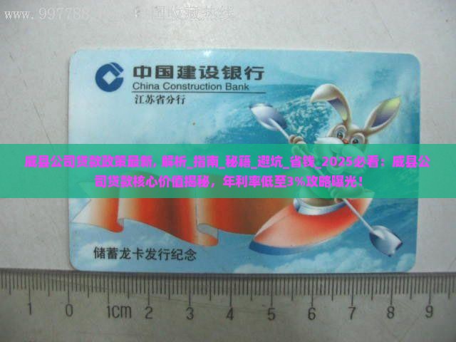 威县公司贷款政策最新