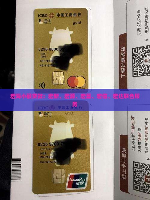 宏海小额贷款
