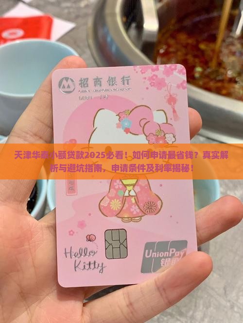 天津华泰小额贷款