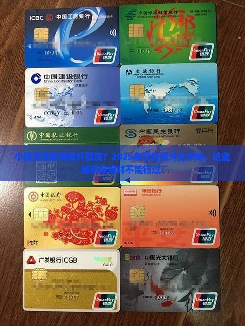 小额贷款怎样提升额度